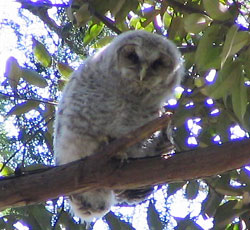 ���������C�ɂȂ�n�߂�