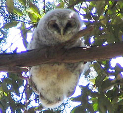 �w�����ۂ߂Ă̂�������