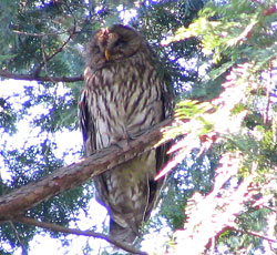 �铭���̂Œ��Ԃ͖���