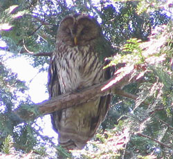 ��x���N���Ȃ�����