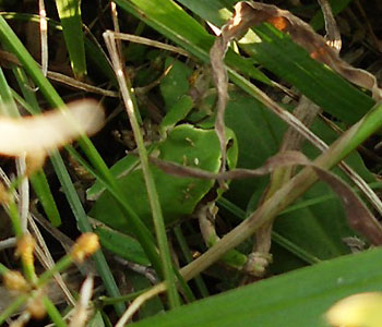 �A�}�K�G����T���I