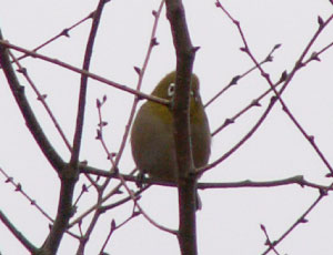 �Ɛ��w�͌����I���ł���