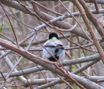 �����K������������