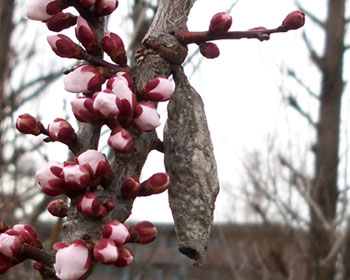 �ς���~�m���V