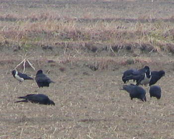 ����Ă���