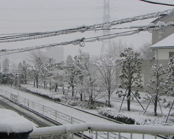 ����ȓ�������܂���