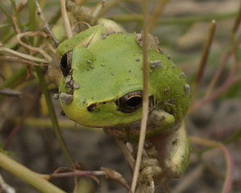 �c�A����������������