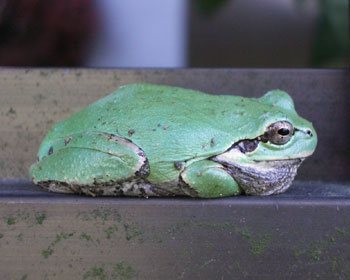 �����J�n�܂ŕ��ŋx��ł�����