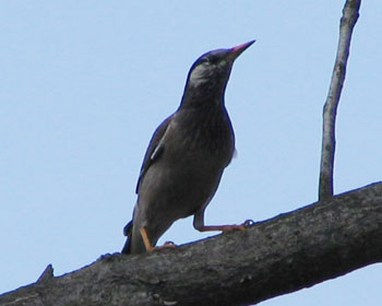 �Â����N�h���͔߂�������