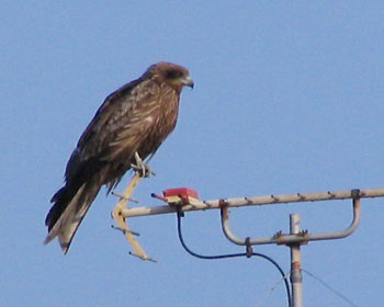 �����Ԃ��Ă݂�