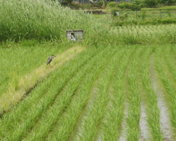 ����������S�C�T�M