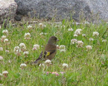 ������Ɖ��������J�����q��