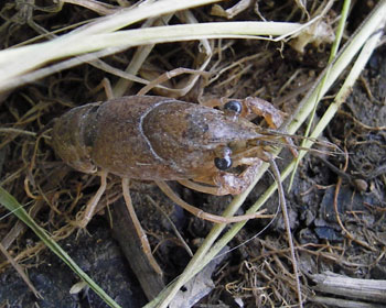 �q�U���K�j�H