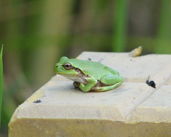 ���N�͗�������