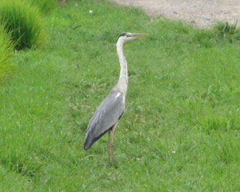 �������A�I�T�M��