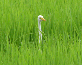 �������炱�����茩��