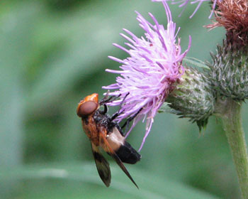 �A�U�~����������