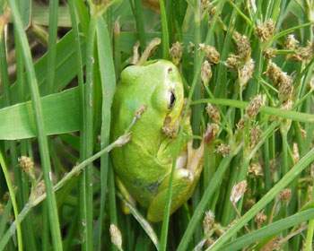 �͂��܂�Ĉ��S