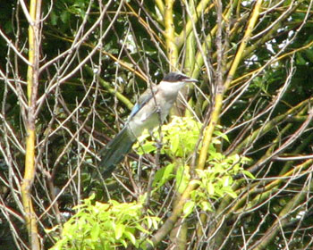 ��������I�i�K