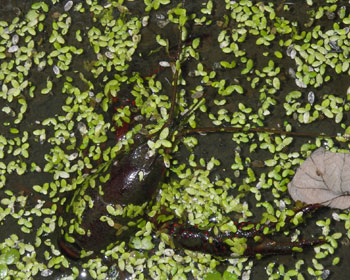 ��������U���K�j