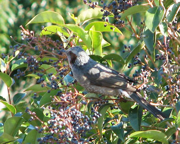 �������������q���h��