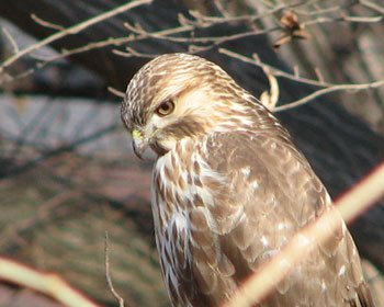 ���e����