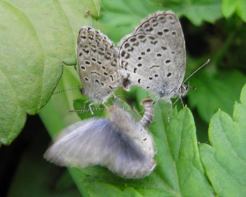 �Q�������Ă�������