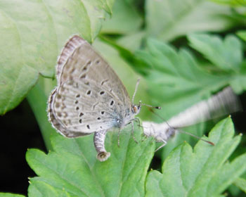 ������ꂽ�E�E�E