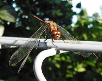 ����������������������