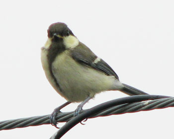 �����Ԉ����