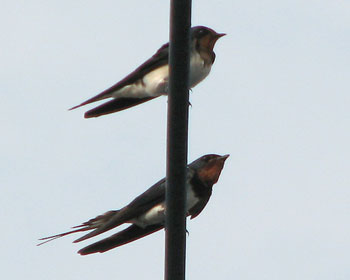 �c�o�����悭����