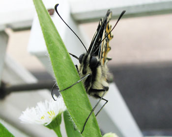 �~�̊ԁA�����b�ɂȂ�܂���