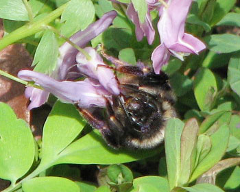 �N�����ۂ�����