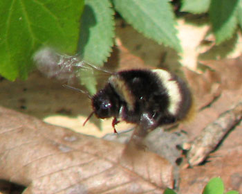 ��ׂ�񂾂���