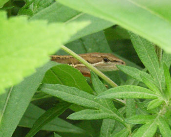 ����������������