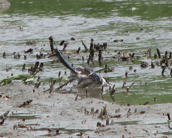 �������I�i�K