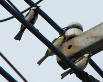 ��������Ƃ�������