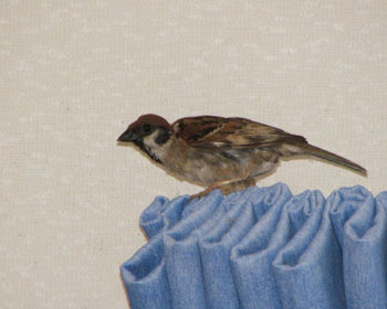 �N���X�Y��