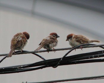 �e�q�X�Y��