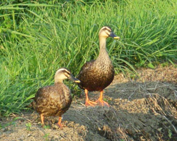 �����J���K��