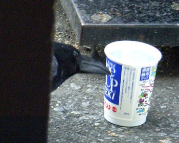 �����J�b�v�J���X