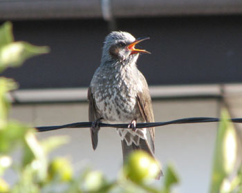 �������[�[�[�[�[��