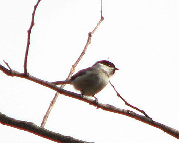 ���уR�K��