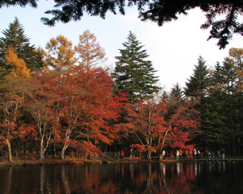 �����炾���Ǎg�t