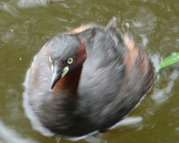 �s�������]��