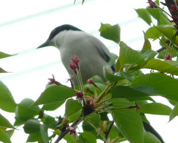 �{�P���I�i�K