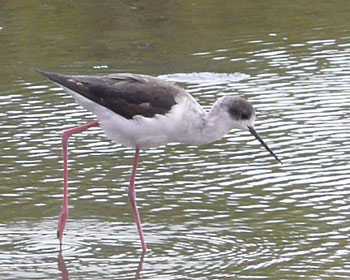 �g�R�g�R����