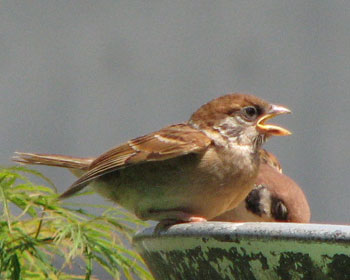 �N�����ĂȂ��Ă����͊J��