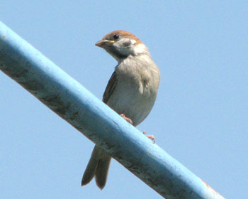 ���A�ق��؂�������ł�