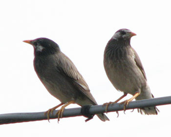 ��͂葃�̑O�Ō������Ă邩��